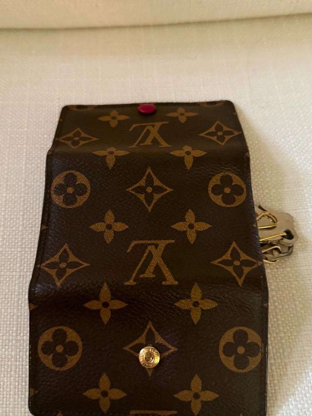 Louis Vuitton classic louis